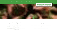 Desktop Screenshot of naturalstartpreschool.com